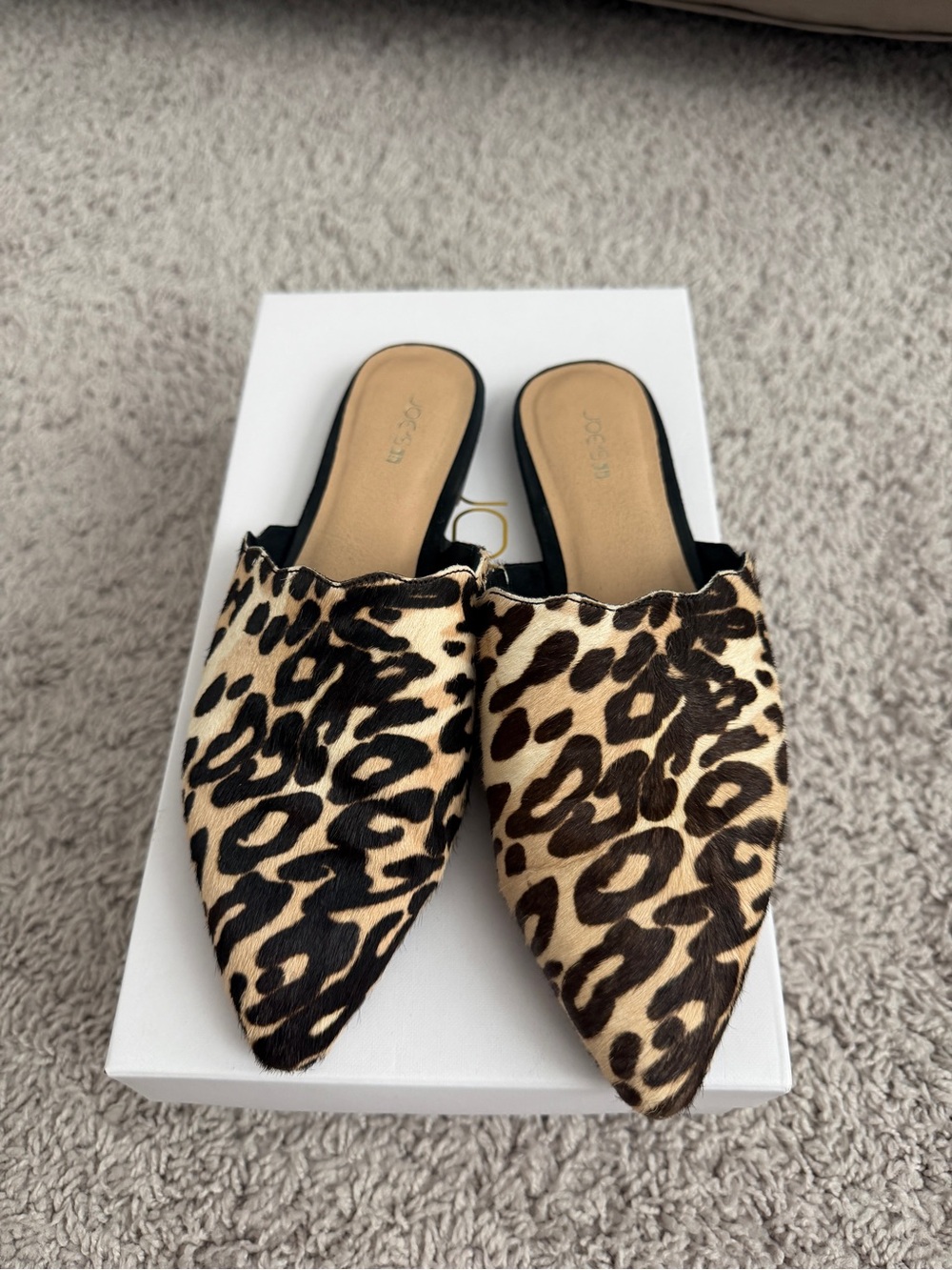 Joe's Jeans Leopard-Print Pointed Mules in Black and Tan